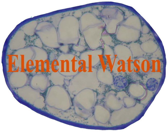 Elemental Watson