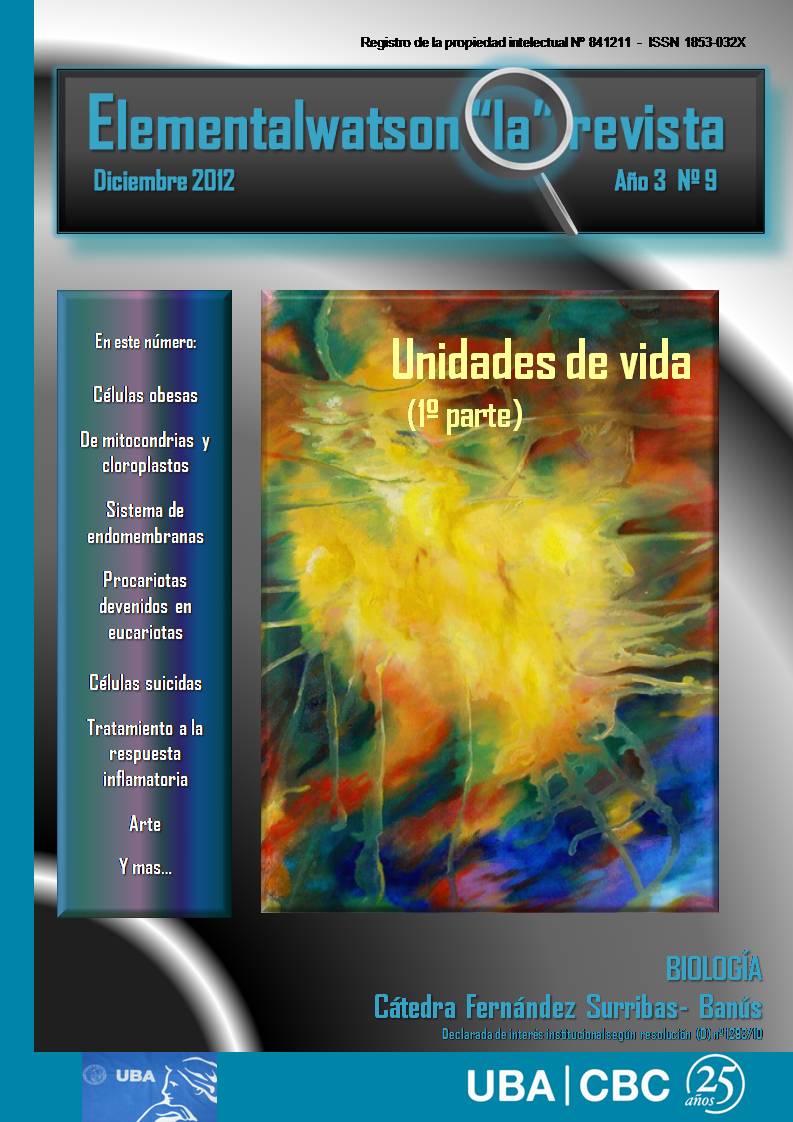La Revista N 9