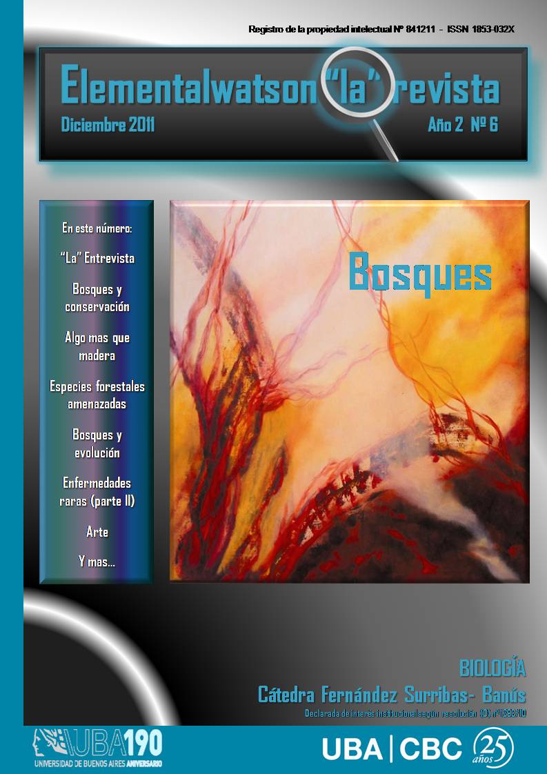Bosques