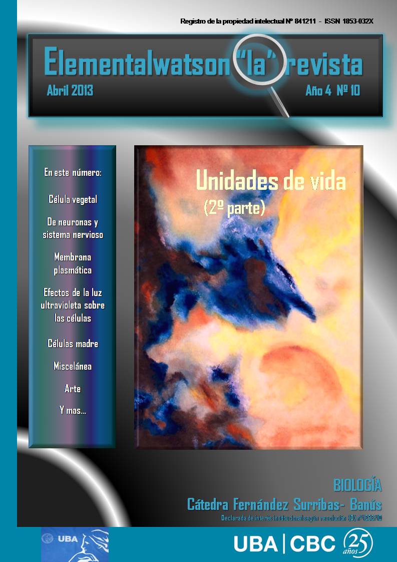 La Revista - N 10