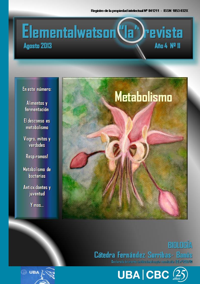 La Revista - N 11