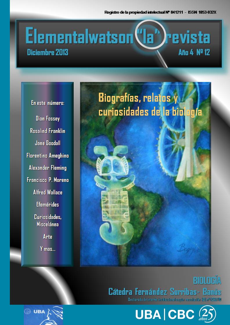 La revista N 12