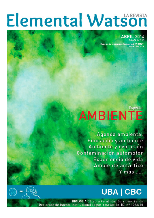 La Revista n 13 - Ambiente