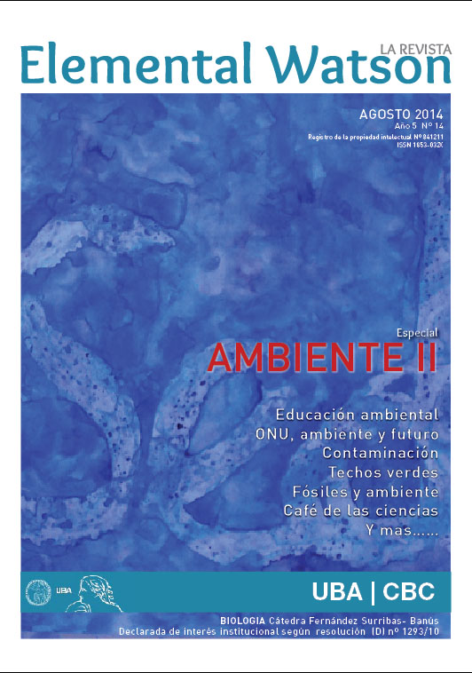 La Revista n 14 - Ambiente 2